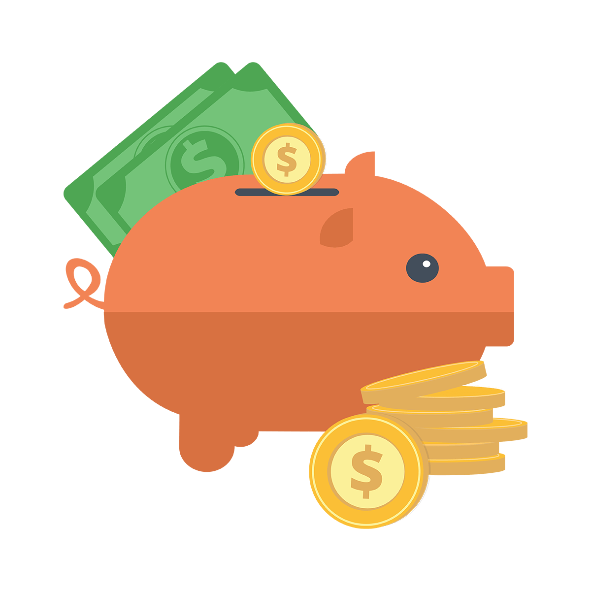 PF Contribution